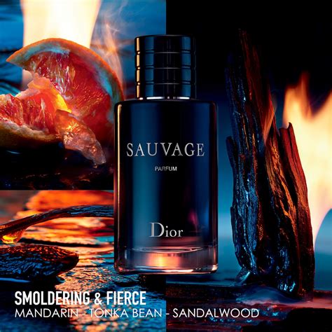 ambroxide dior sauvage ingredients|sauvage by dior cologne.